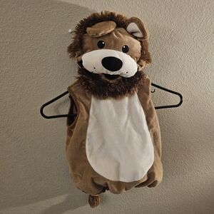 Adorable Lion Costume for Kids
